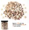 1200-Piece Tiny Sea Shells & Starfish Set – Natural Mixed Ocean Spiral Seashells for Home Decor, Wedding, Candle Making, Beach-Themed Party, DIY Crafts & Vase Filler